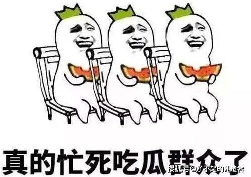 娱乐吃瓜酱低智商,揭秘低智商背后的娱乐真相